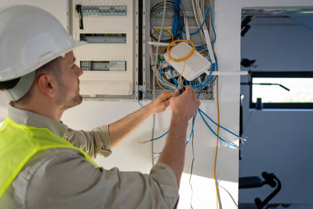 Best Electrician for Home Renovation  in Birch Run, MI